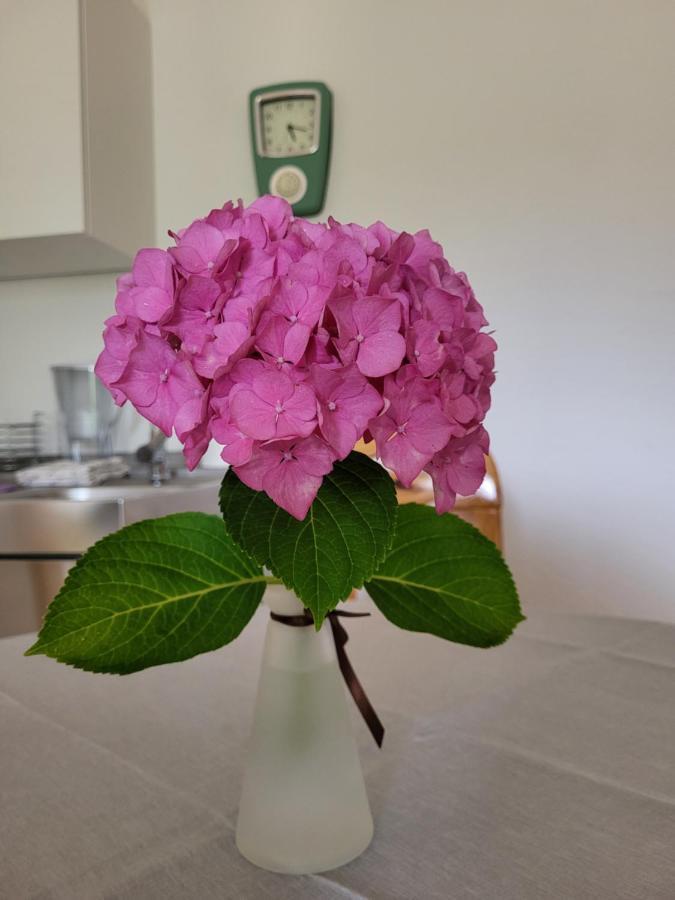 Ferienwohnung Sonnenschein Obernkirchen Zewnętrze zdjęcie